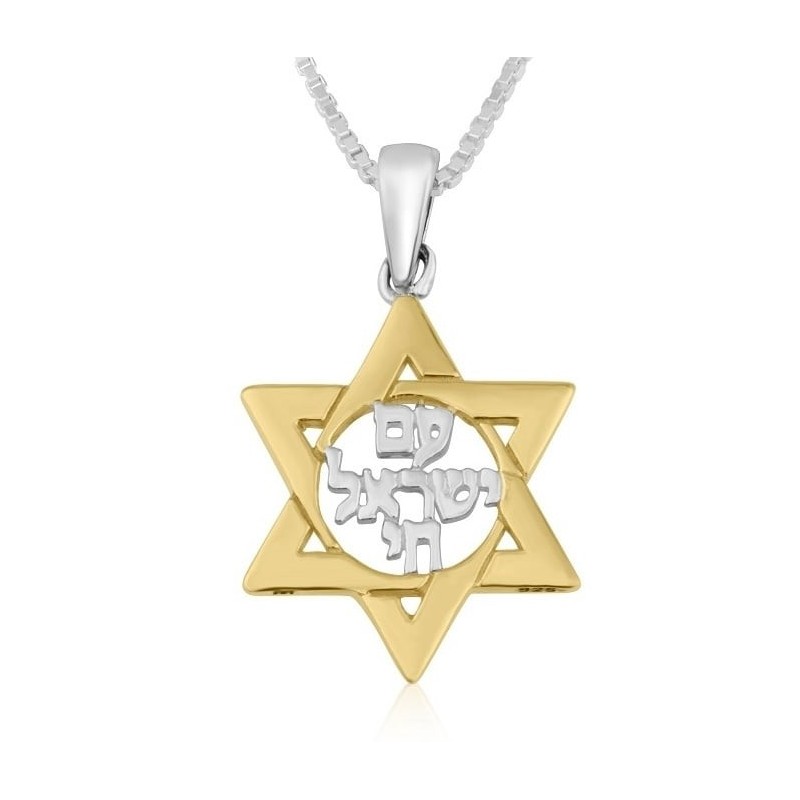 תליון שרשרת מגן דוד עם ישראל חי מצופה זהב